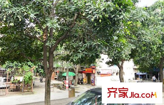五一新村配套圖周邊配套街道