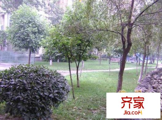 育才嘉苑外景圖 
