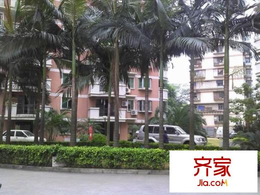 廣德小區(qū)外景圖 