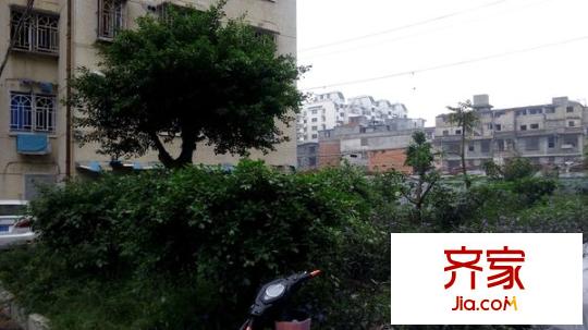 雙龍花園外景圖 
