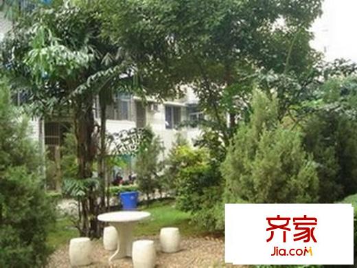 樹兜花園