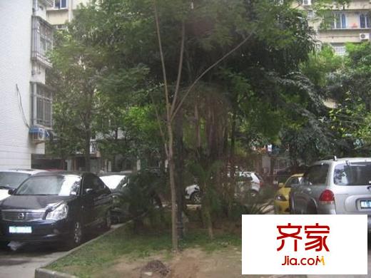 樹兜花園外景圖 