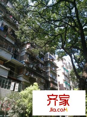 榮東社區(qū)外景圖