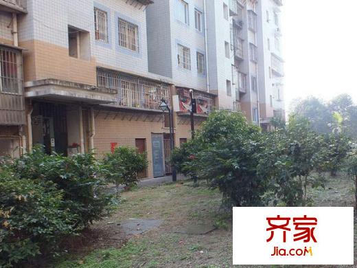 南臺新苑紫荊園外景圖 