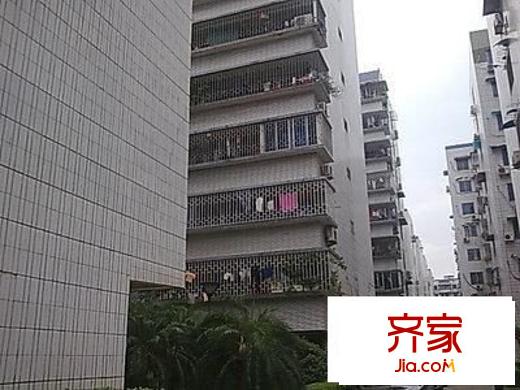 金輝新村外景圖 