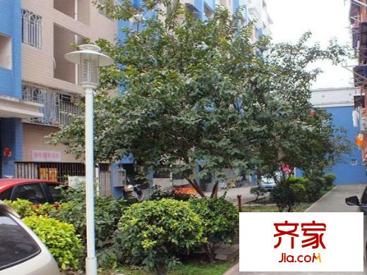 錦標園外景圖 
