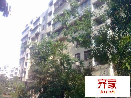 后縣小區(qū)外景圖 