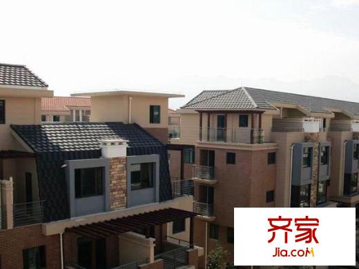 大洋鷺洲外景圖 