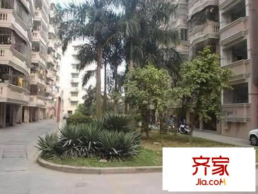 紫陽新園外景圖 