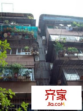 糧道小區(qū)外景圖  