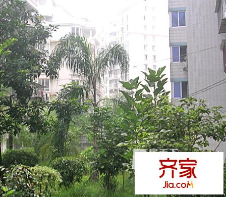 空港公寓外景圖 