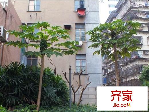 檸檬宿外景圖 