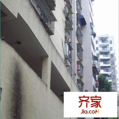 龍洲公寓外景圖 