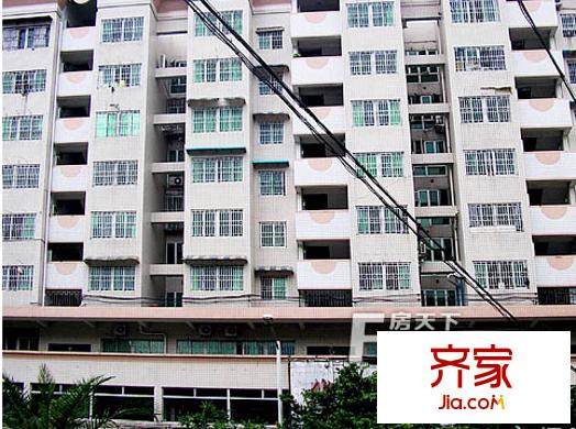 龍洲公寓外景圖 