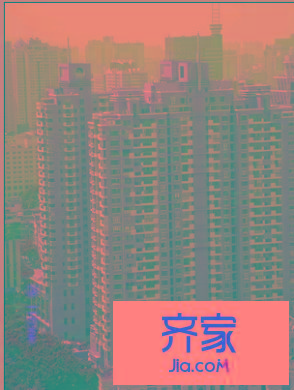 紫荊花園