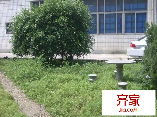 萬事利花園外景圖 