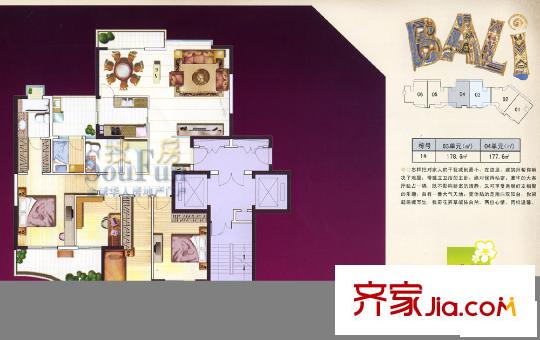 三盛巴厘島 5室戶型圖