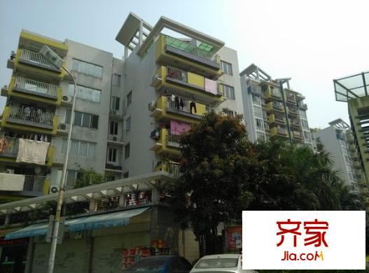 融僑東區(qū)B區(qū)外景圖 