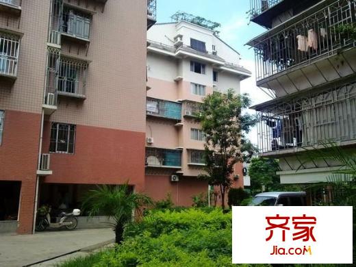 南臺(tái)新苑茶花園外景圖南臺(tái)新苑 茶花園 