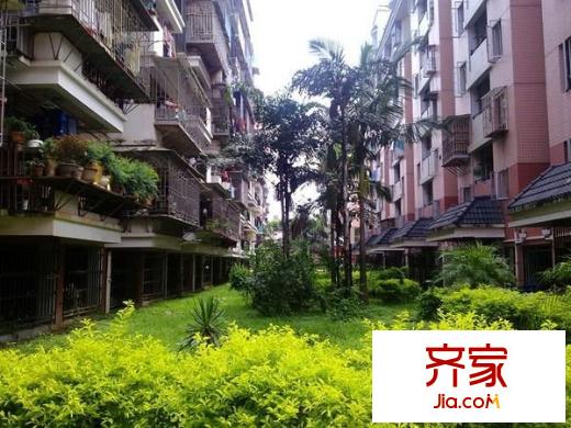 南臺(tái)新苑茶花園外景圖南臺(tái)新苑 茶花園 