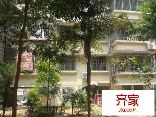 福馬新村