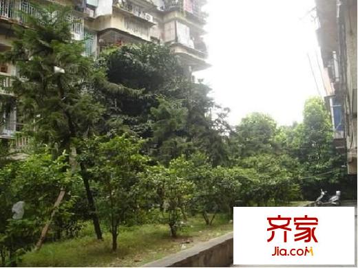 省林業(yè)廳宿舍外景圖 