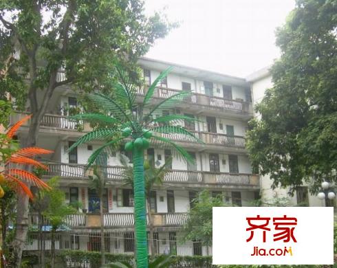 省林業(yè)廳宿舍外景圖 