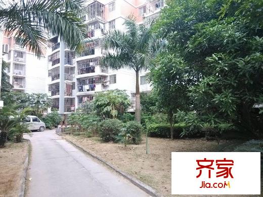 閩江新苑外景圖 