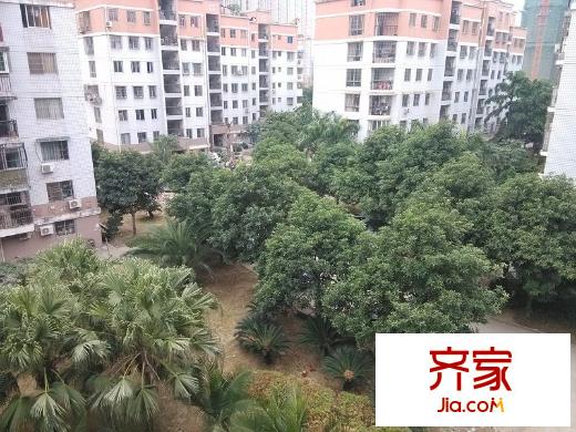 閩江新苑外景圖 