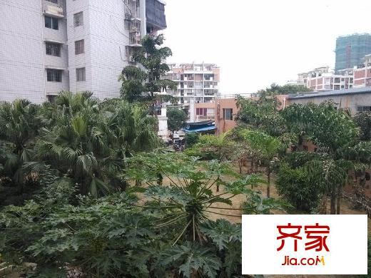 閩江新苑外景圖 