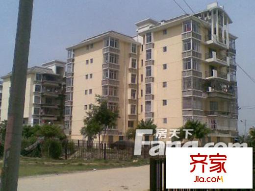 美岐新村外景圖美歧新村 