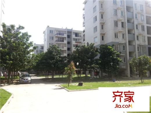 龍津苑小區(qū)外景圖 