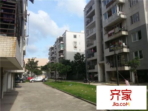 龍津苑小區(qū)外景圖 