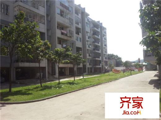 龍津苑小區(qū)外景圖 