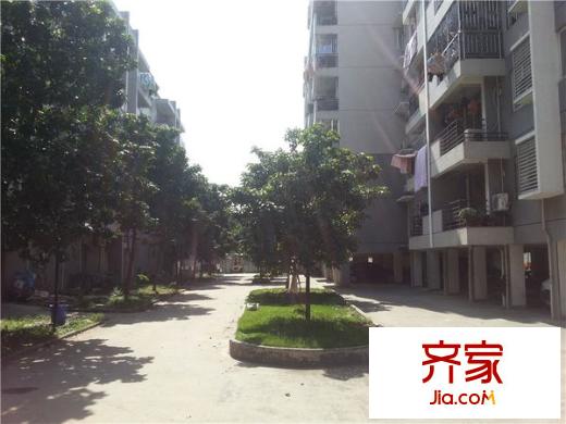 龍津苑小區(qū)外景圖 