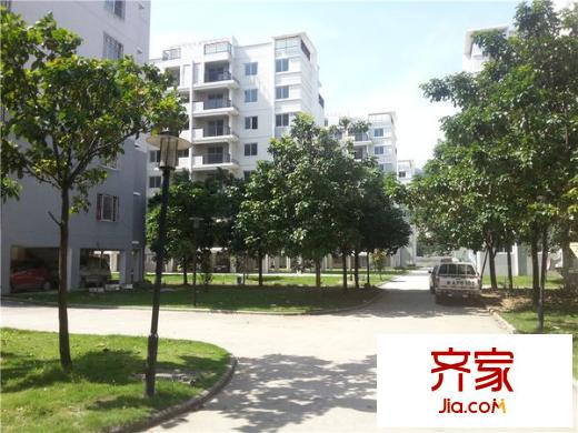 龍津苑小區(qū)外景圖 