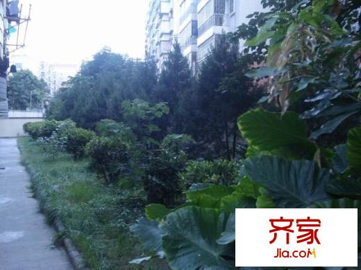 鰲峰花園外景圖 