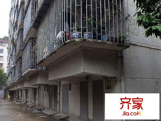 金福新村外景圖 