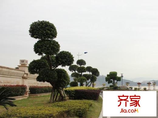 海西假日灣外景圖 