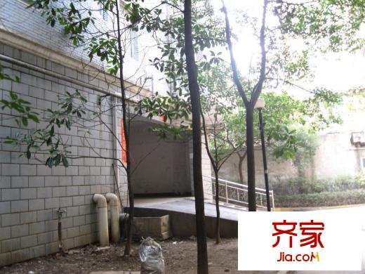 小南湖芬香園外景圖