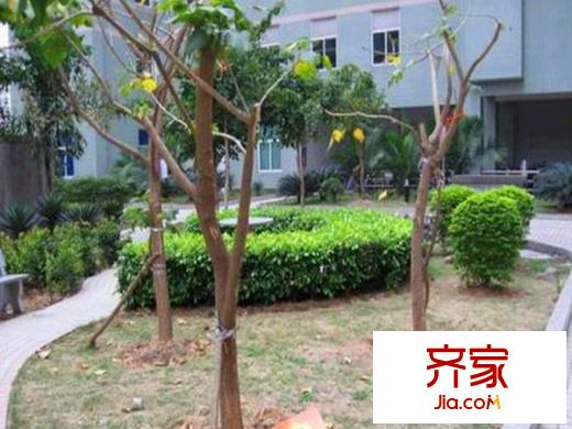 天創(chuàng)佳緣外景圖 