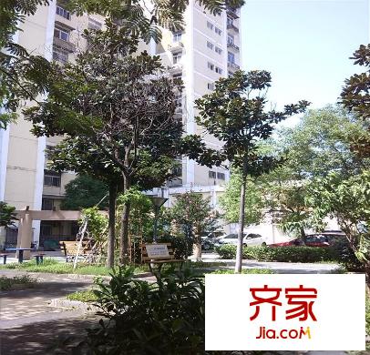 新安小區(qū)外景圖