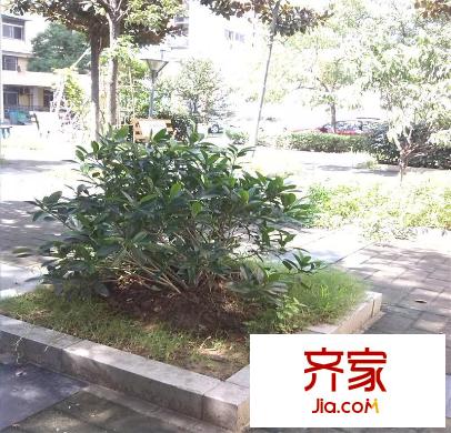 新安小區(qū)外景圖