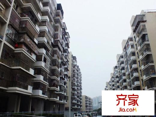 大儒世家花園外景圖四區(qū) 