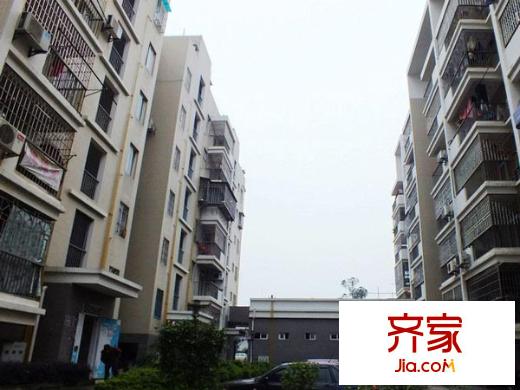 大儒世家花園外景圖四區(qū) 