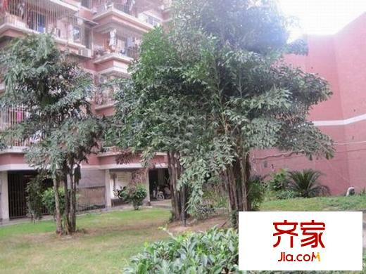 新南方花園外景圖 