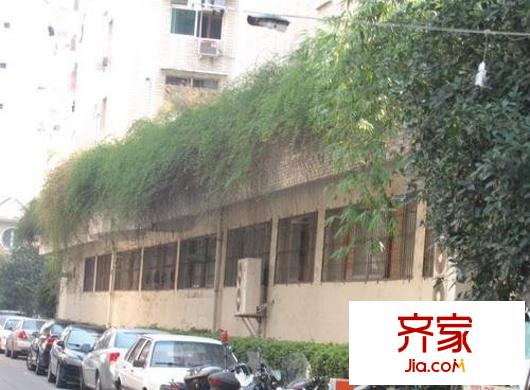 桂花公寓外景圖 