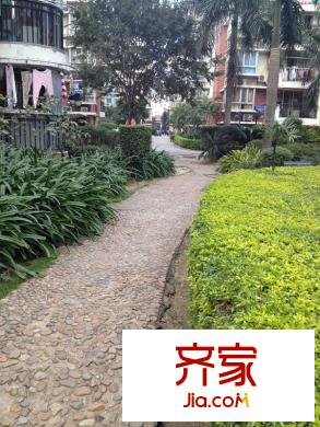 世紀(jì)金輝外景圖一期 
