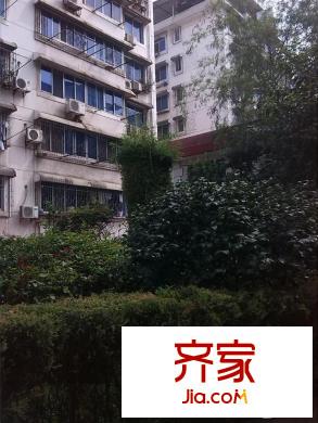 東方紅花園外景圖