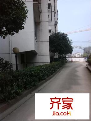 東方紅花園外景圖